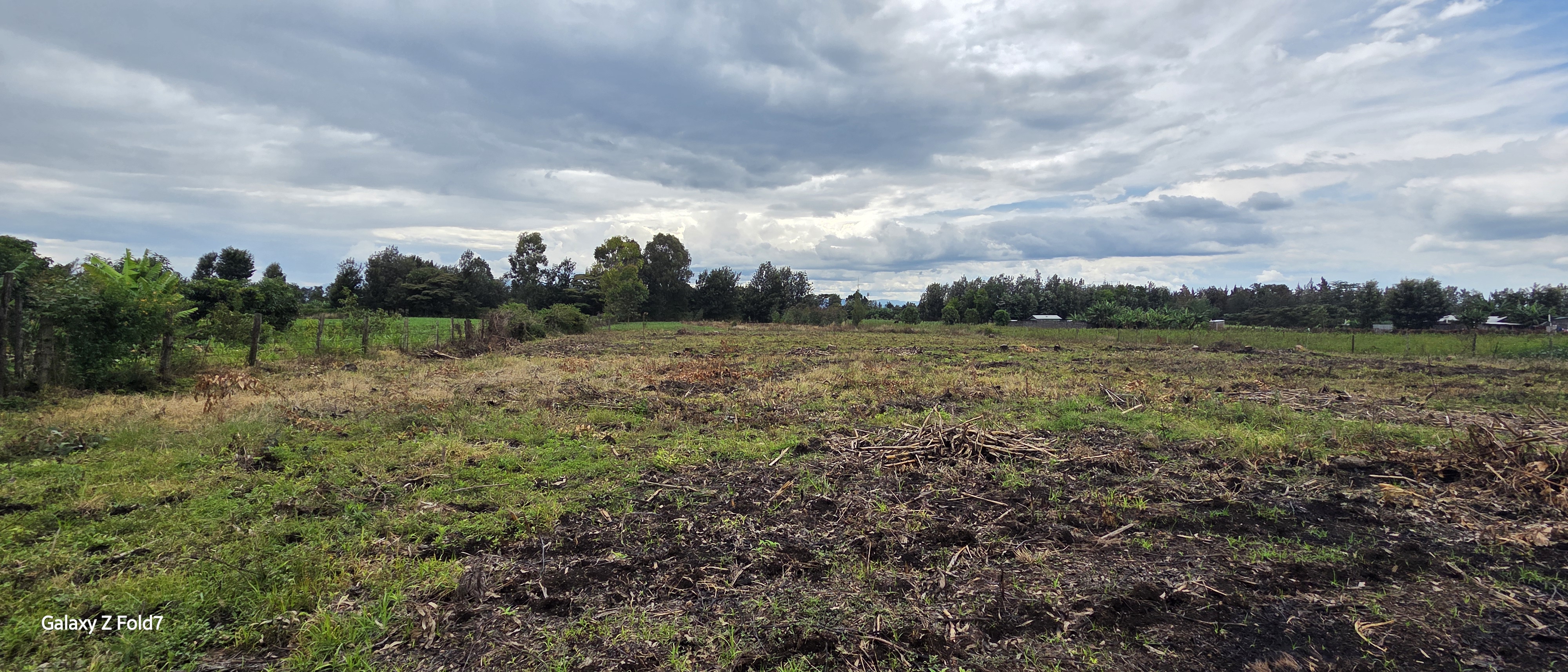 Kabarak Plots